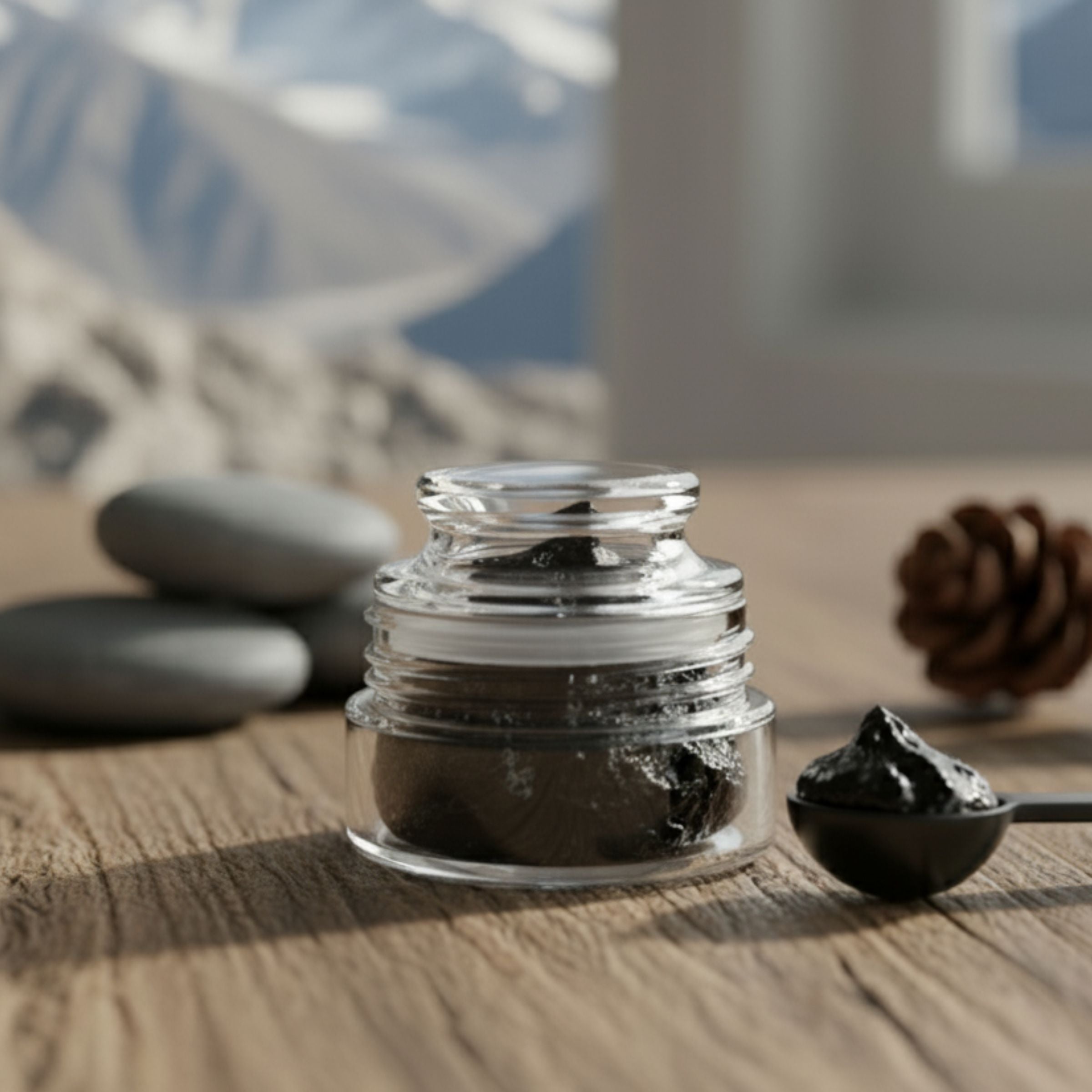 Pure Himalayan Shilajit
